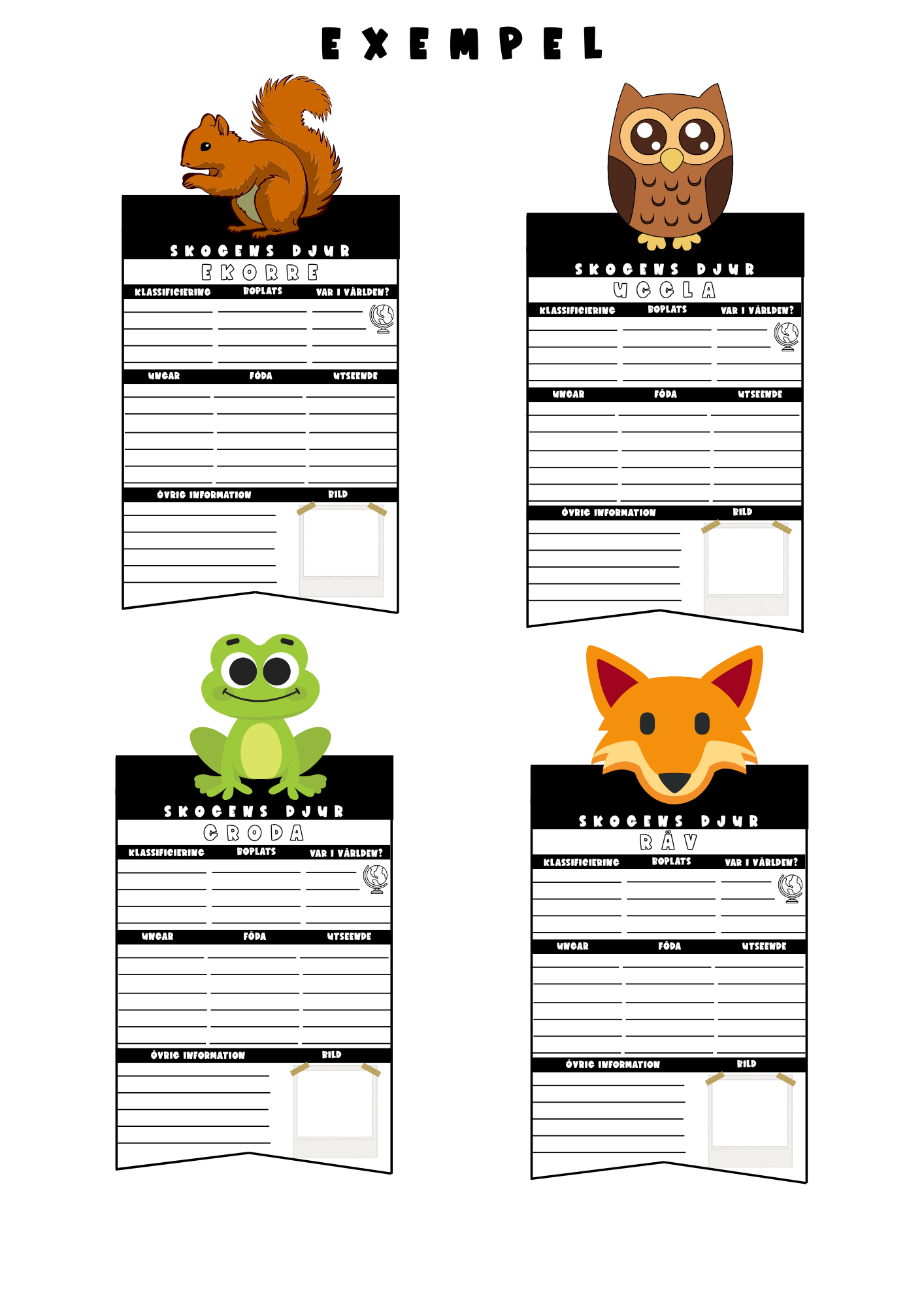 Faktablad skogens djur