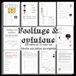 Känslor och åsikter - feelings and opinions