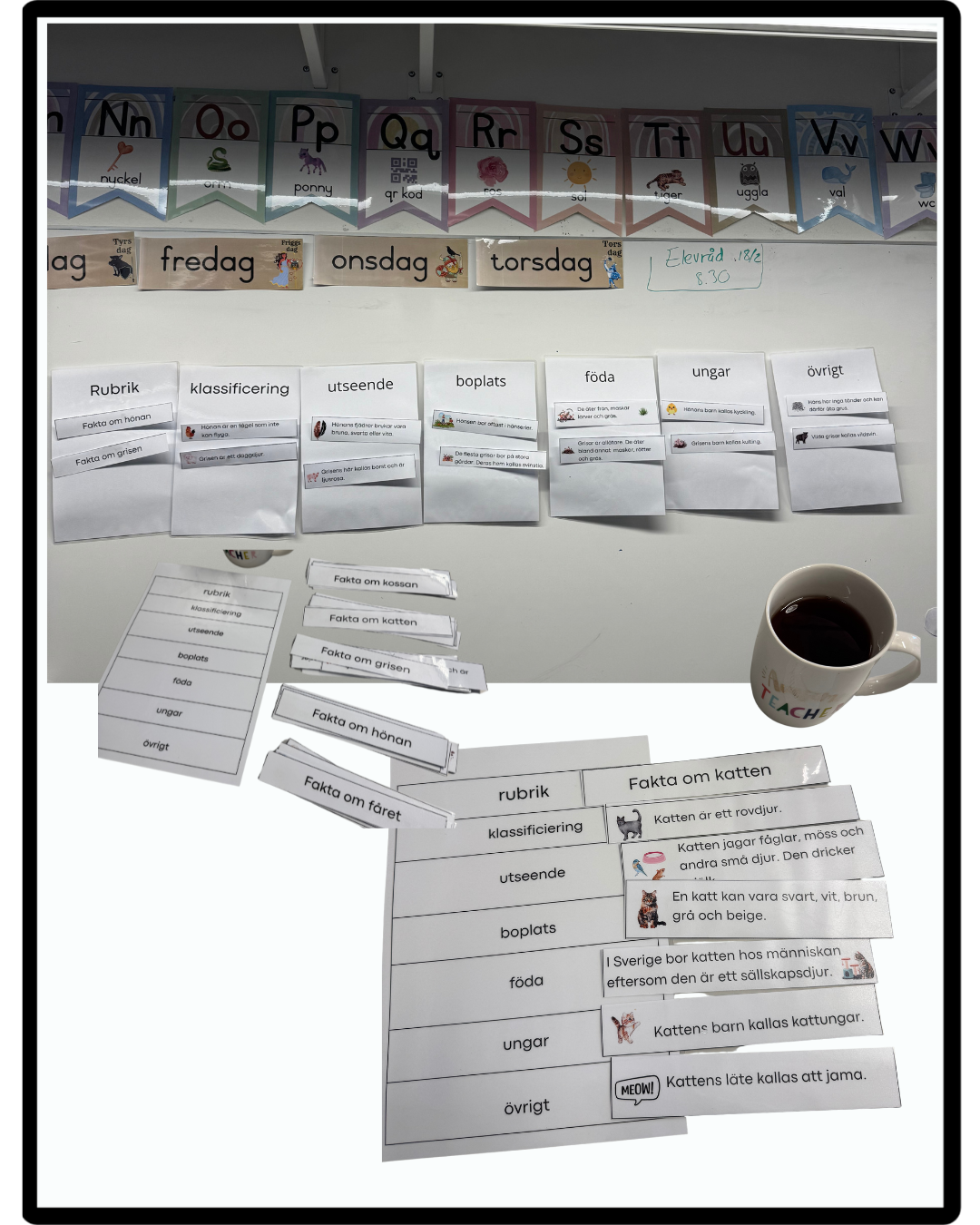 Öva på att skriva faktatexter med struktur.