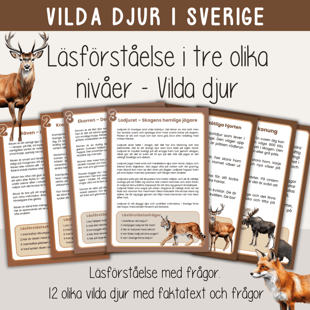 Vilda djur i Sverige – Läsförståelse i tre nivåer.