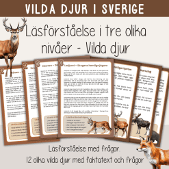 Vilda djur i Sverige - Läsförståelse i tre nivåer.