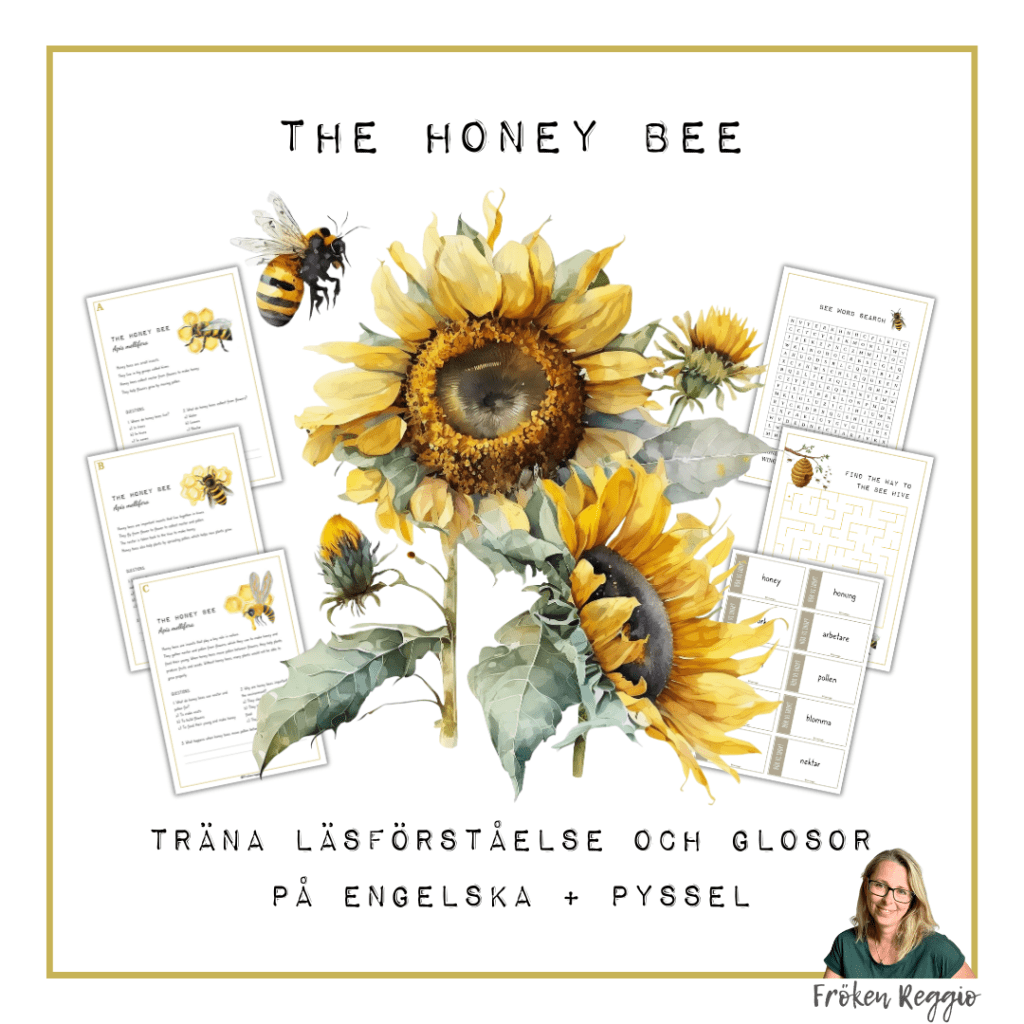 The Honey Bee