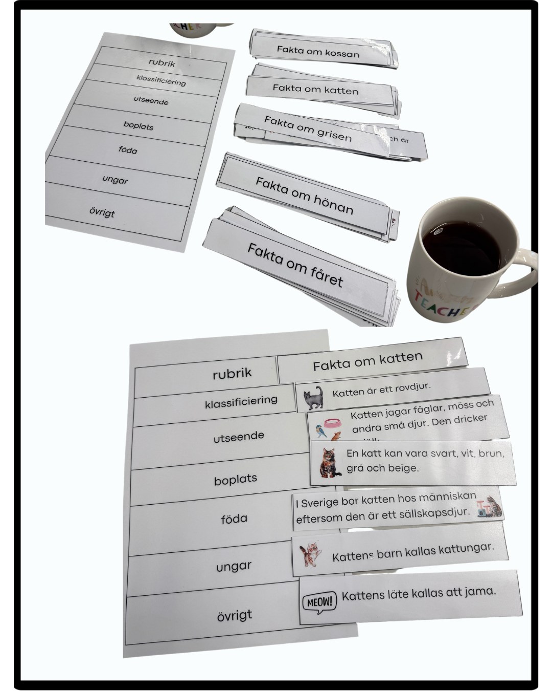 Öva på att skriva faktatexter med struktur.