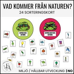 Vad kommer från naturen? | 24 sorteringskort