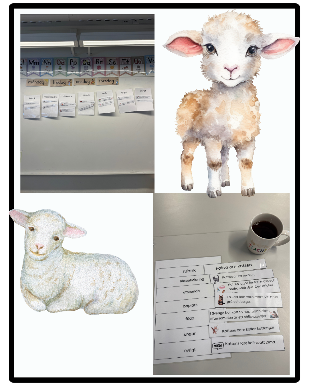 Öva på att skriva faktatexter med struktur.