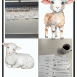 Öva på att skriva faktatexter med struktur. - bild 4