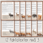 Vilda djur i Sverige – Läsförståelse i tre nivåer. - bild 4