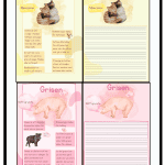 Faktatexter om bondgårdens djur. - bild 2