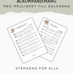 Sommar- och vårsånger för unga sångare - bild 2