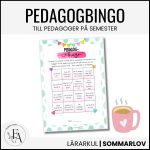 Pedagogbingo - bild 1