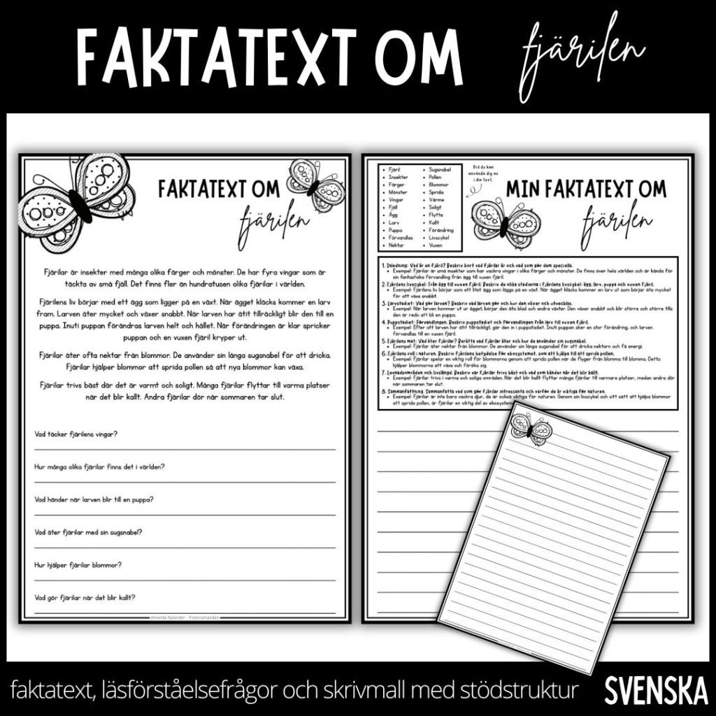 Dags att läsa, svara på frågor och skriva – faktatext om fjärilen