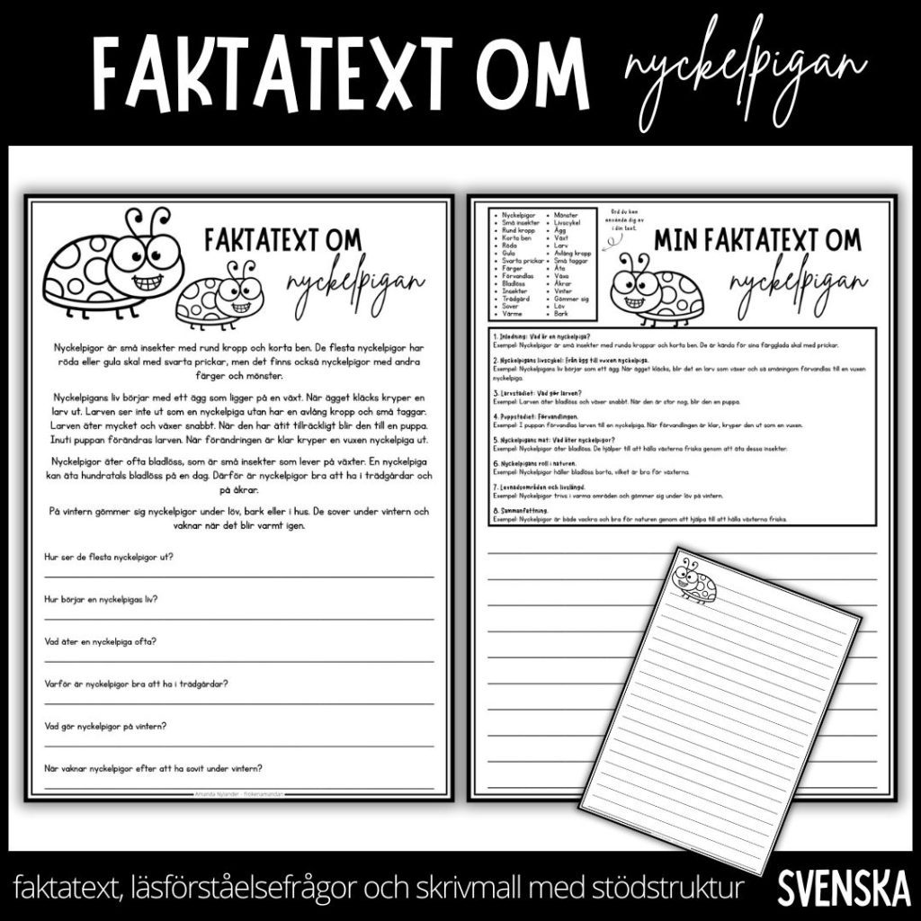 Dags att läsa, svara på frågor och skriva – faktatext om nyckelpigan
