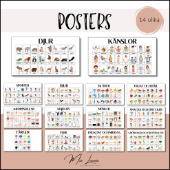 Posters SVA