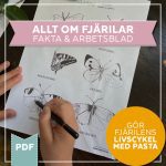 Fjärilens livscykel, fakta & kreativt arbetsblad - bild 1