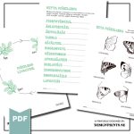 Fjärilens livscykel, fakta & kreativt arbetsblad - bild 2