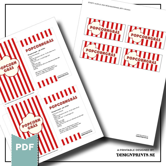 Fröpåse popcorn: sommarlovspresent