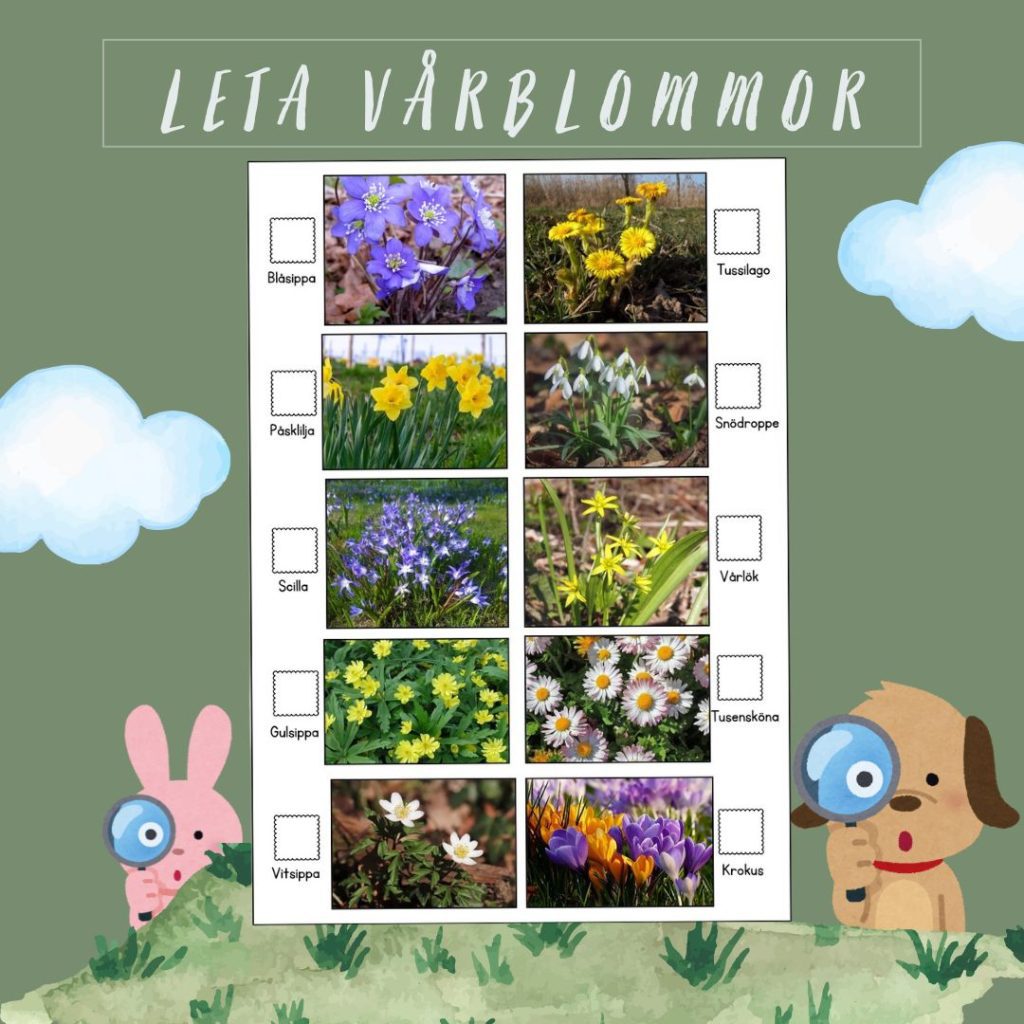 Leta vårblommor