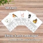 Läsförståelse – 40 kort – svenska djur - bild 2