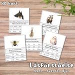 Läsförståelse – 40 kort – svenska djur - bild 1