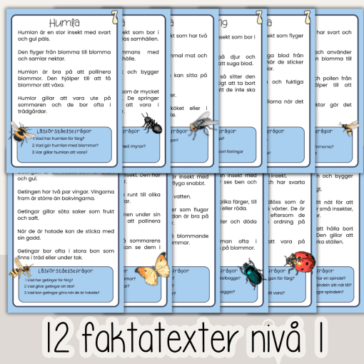 Insekter och andra småkryp - Läsförståelse i tre nivåer - 12 olika faktablad med frågor.