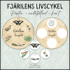 Fjärilens livscykel