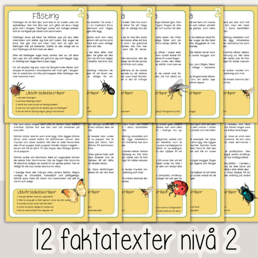 Insekter och andra småkryp - Läsförståelse i tre nivåer - 12 olika faktablad med frågor.