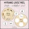 Myrans livscykel