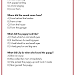 Reading comprehesion – 3 texter på engelska med läsförståelsefrågor till - bild 4