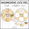 Daggmaskens livscykel