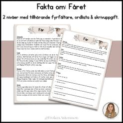 Fakta om fåret - 2 nivåer med tillhörande fyrfältare, ordlista och skrivuppgift