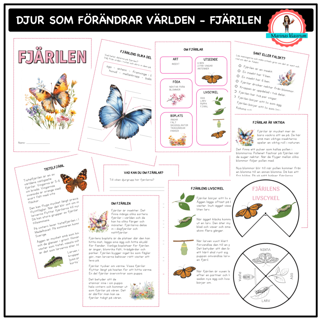 Om fjärilen – åk 2-3 – djur som förändrar världen