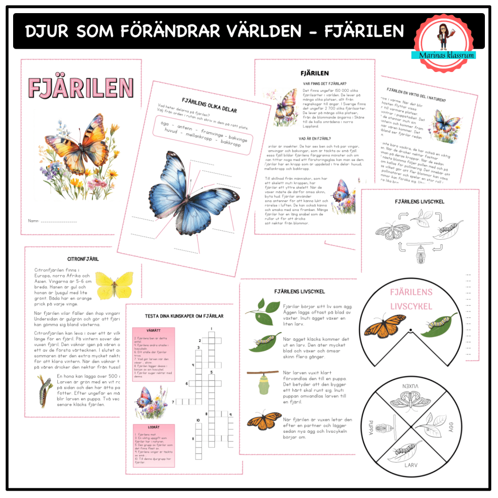 Om fjärilen – åk 4-6 – djur som förändrar världen