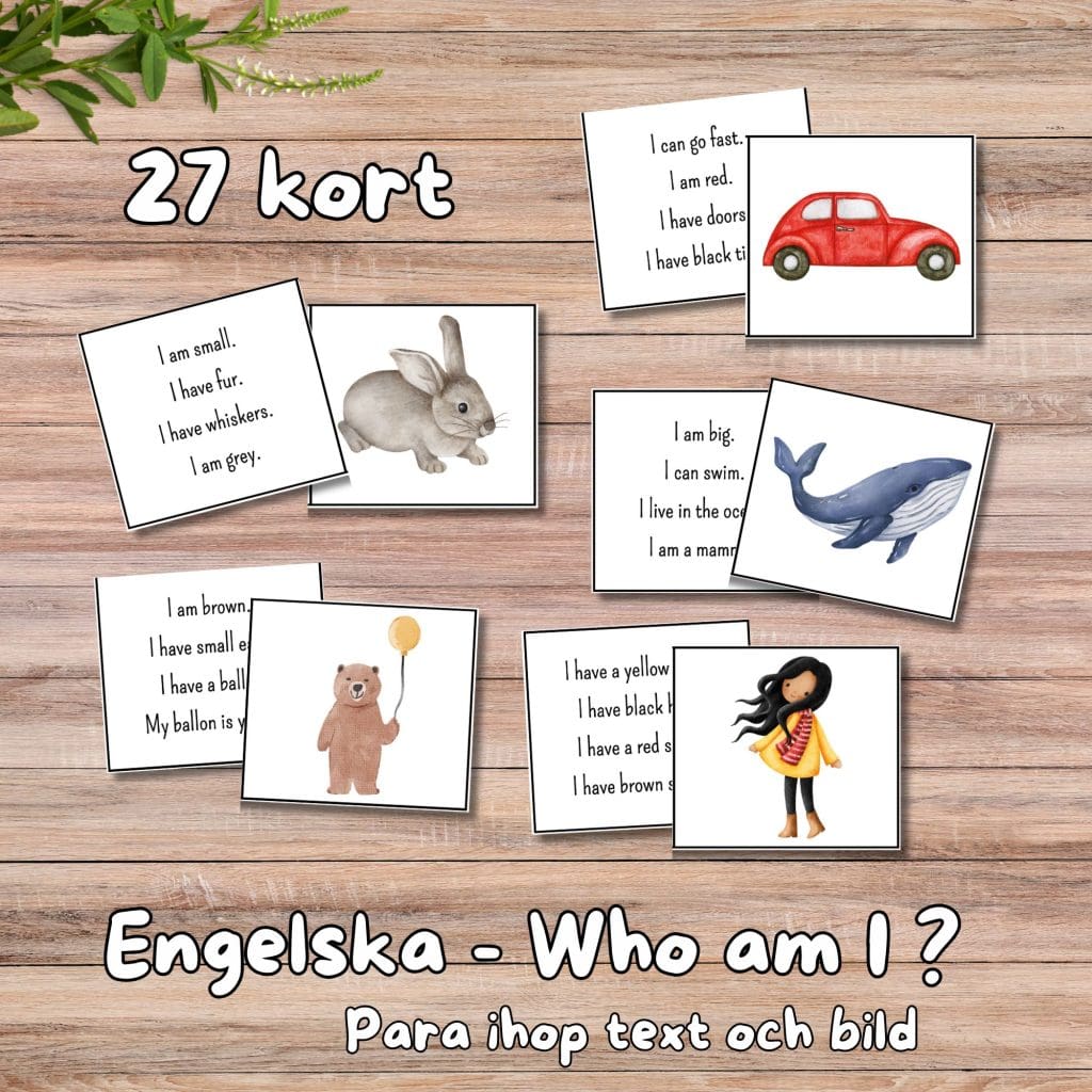 Engelska – who am I? – kort med läsförståelse