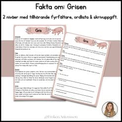 Fakta om grisen - 2 nivåer med tillhörande fyrfältare, ordlista och skrivuppgift