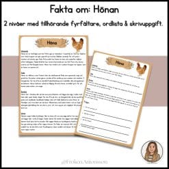 Fakta om hönan - 2 nivåer med tillhörande fyrfältare, ordlista och skrivuppgift