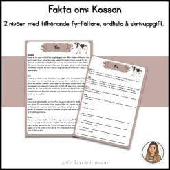 Fakta om kossan - 2 nivåer med tillhörande fyrfältare, ordlista och skrivuppgift