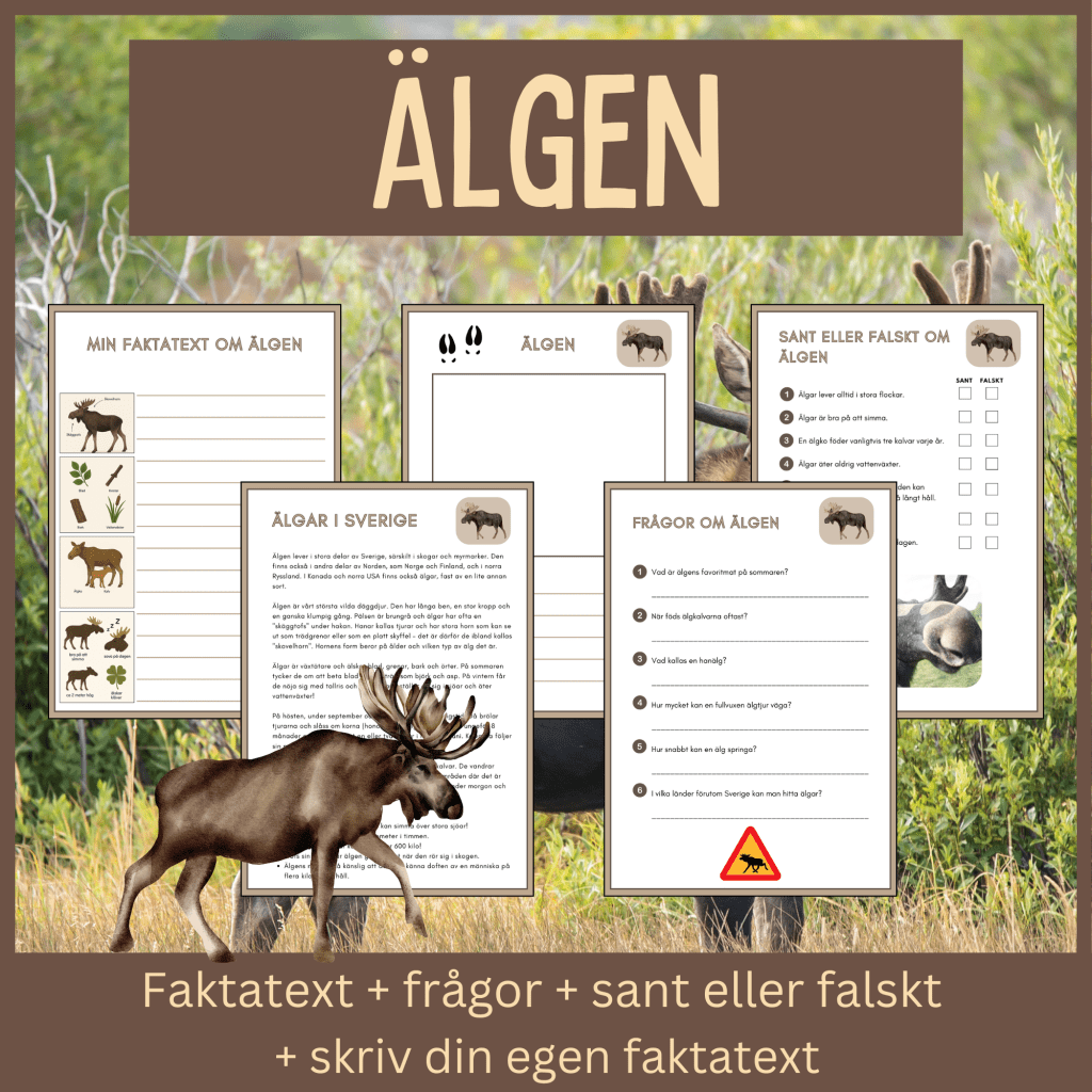 Älgen – läsförståelse och skrivuppgifter