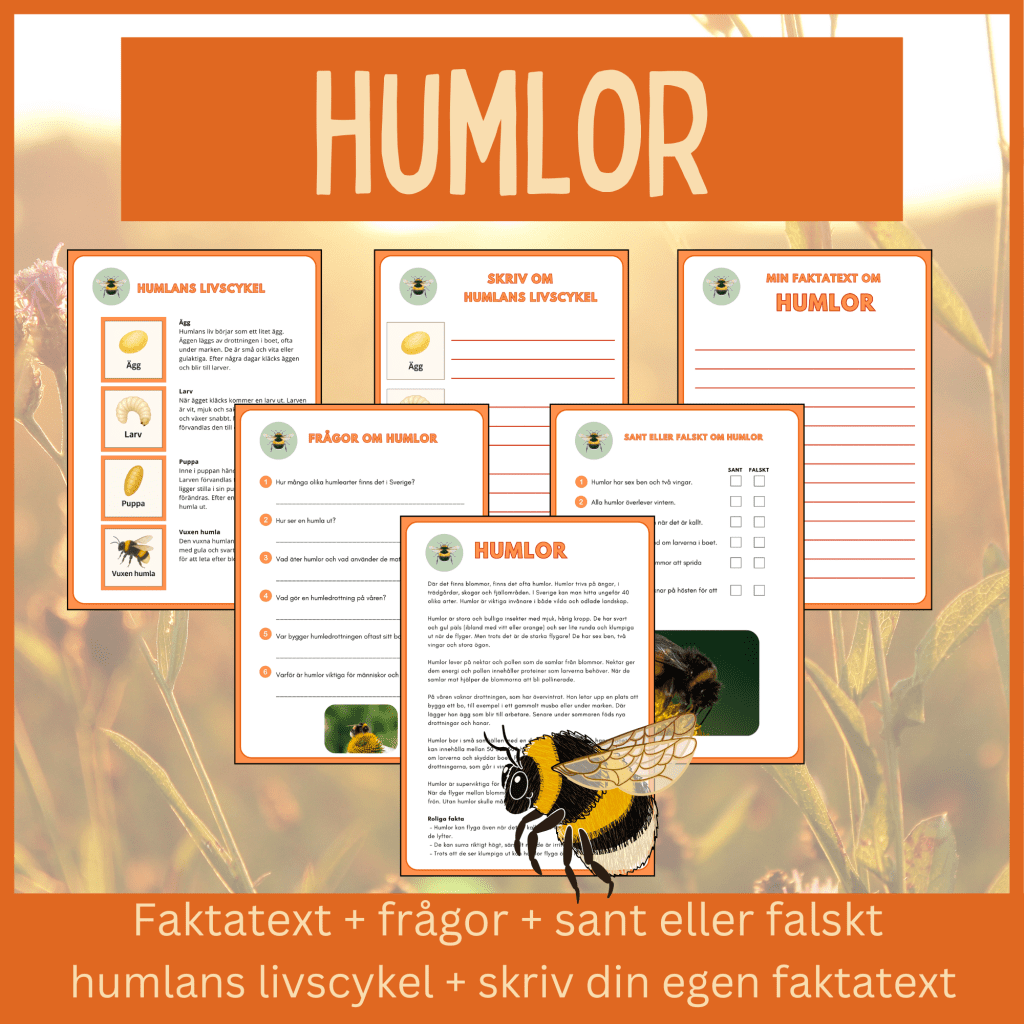 Humlor – läsförståelse och skrivuppgifter