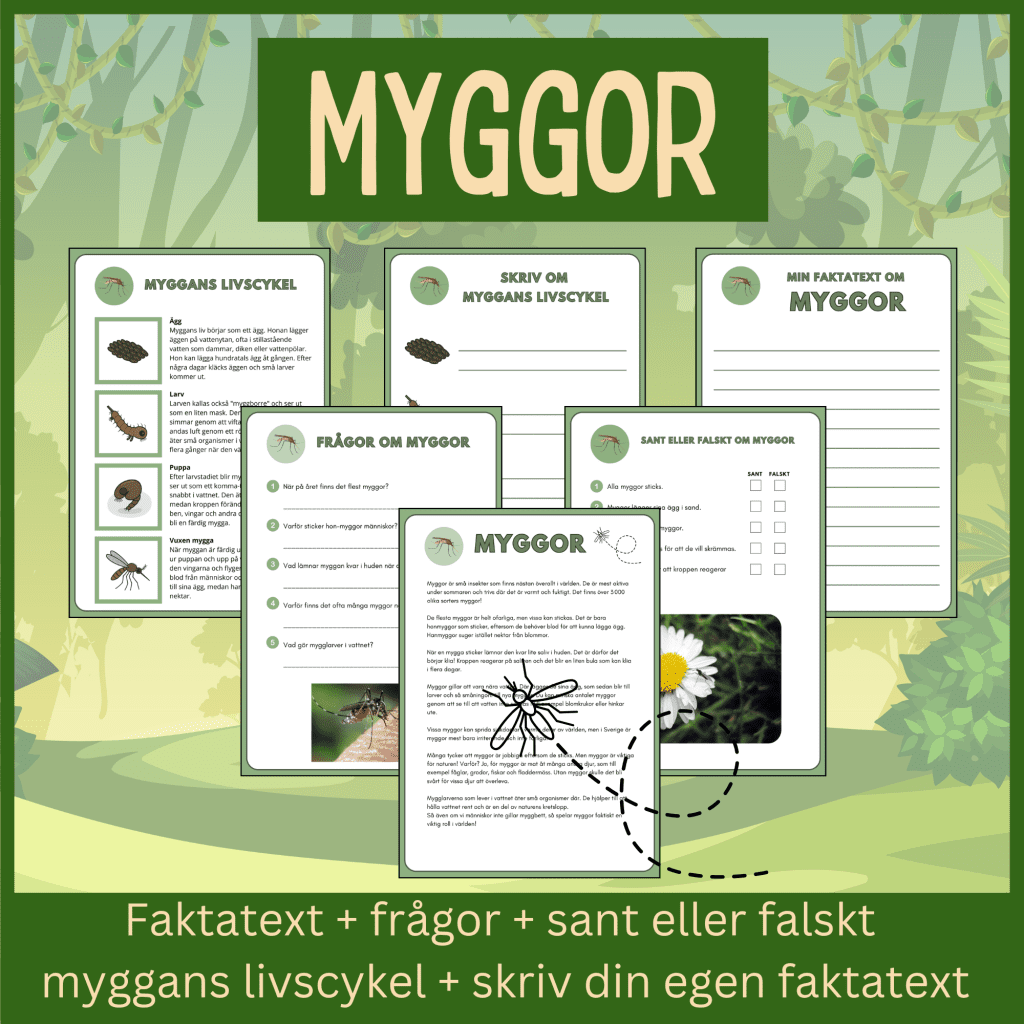 Myggor – läsförståelse och skrivuppgifter