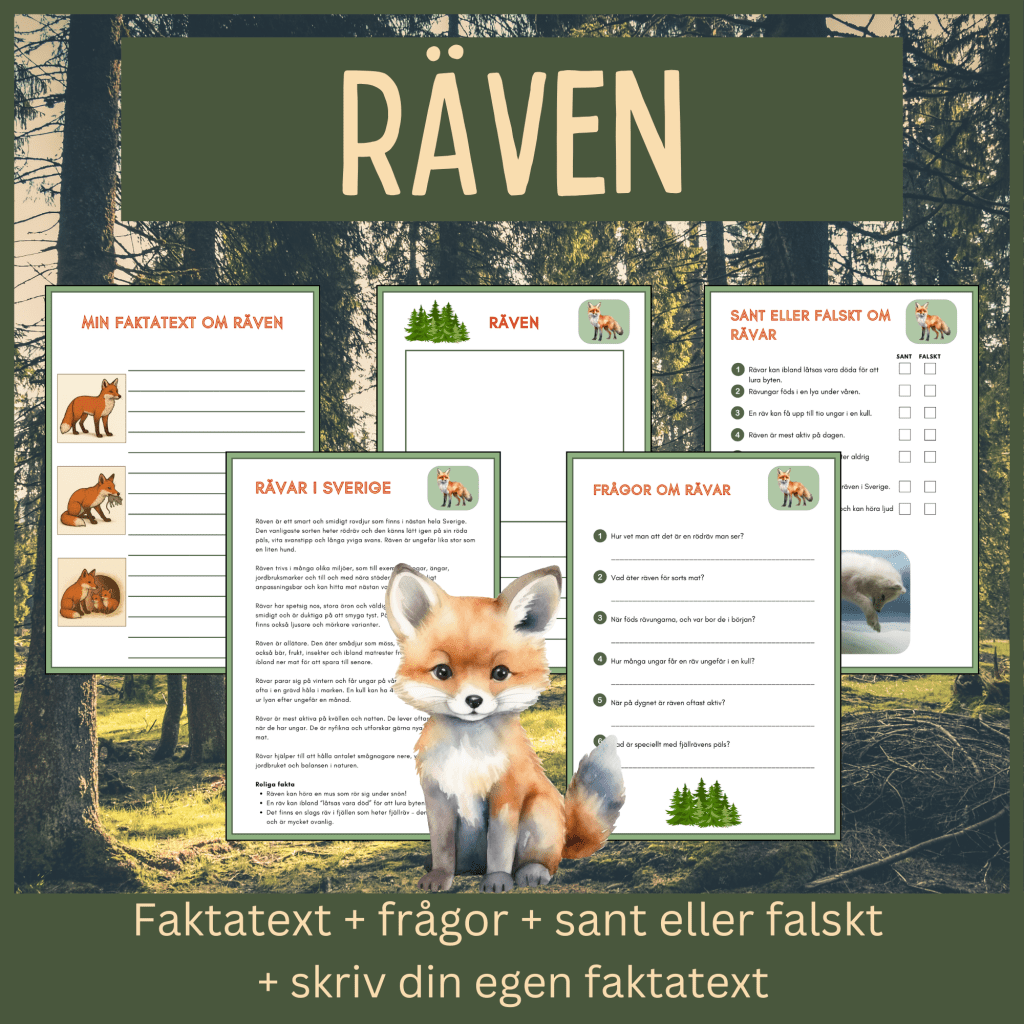 Räven – läsförståelse och skrivuppgifter