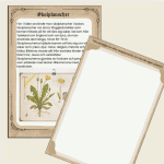 Skolan förr i tiden – En skoldag i början av 1900-talet - bild 2