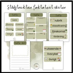 Stödstruktur faktatext växt