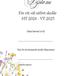 Stort paket med diplom ht 24 – vt 25 - bild 6