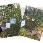 Ord promenad - bild 2