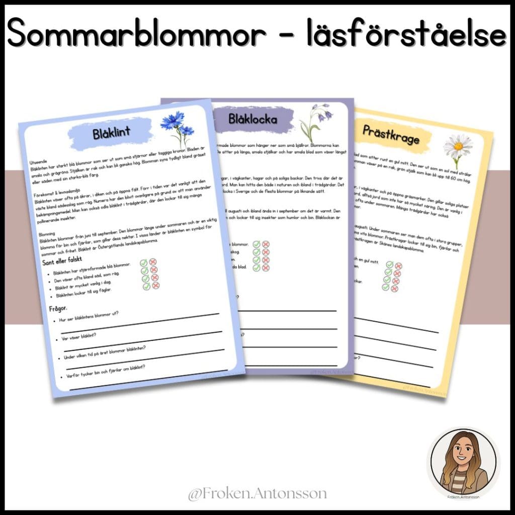 Sommarblommor – läsförståelse