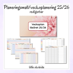 Mall för planeringsunderlag/schema/veckoplanering – redigerbar - bild 1