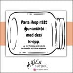 Djur – Syltburkar - bild 2