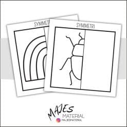 Symmetri - svartvita bilder