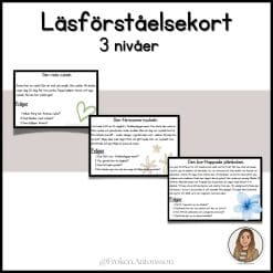 Läsförståelsekort - 3 nivåer