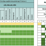 DIGITAL SAMMANSTÄLLNING / bedömningsstöd, kartläggning & NP - bild 5